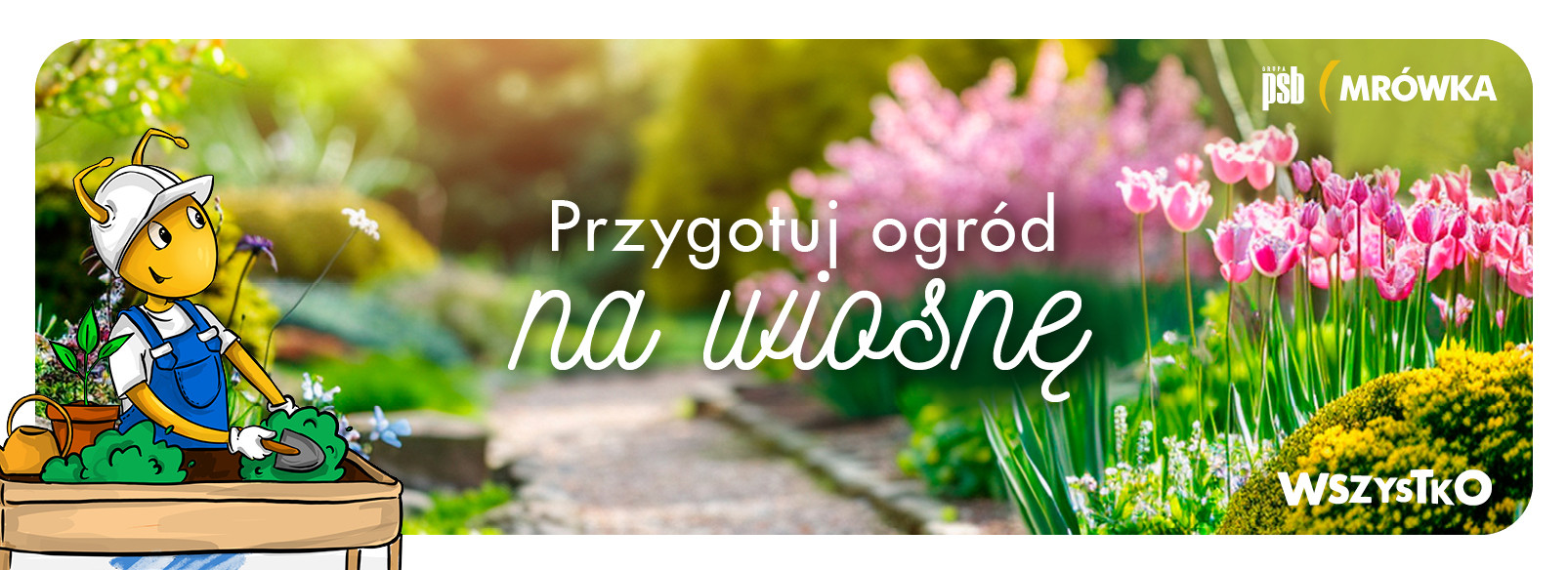 Grupa PSB mrowka Mrówka Łącko