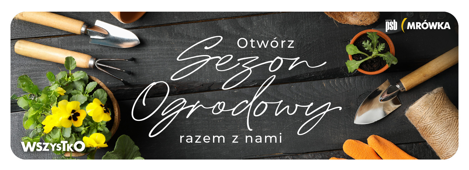 Grupa PSB mrowka Mrówka Łącko