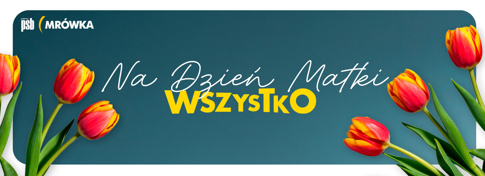 Grupa PSB mrowka Mrówka Łącko